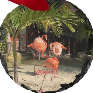 🏄‍♂️🕶 Ladies SWIM🕶🏄‍♂️